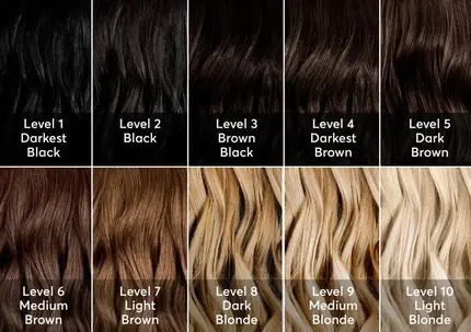 Hair Colour Transformations. All You Need to Know.
